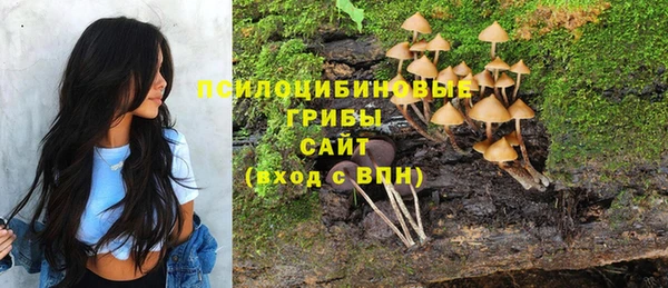 СК Медвежьегорск
