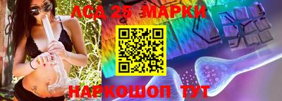 стаф Кимры