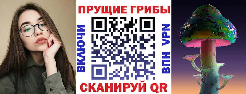 мега tor  Троицк  Галлюциногенные грибы прущие грибы 