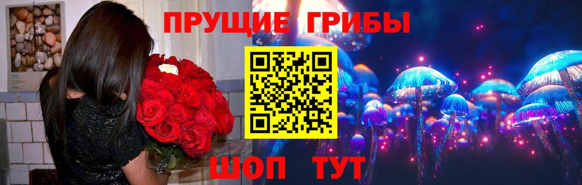 Троицк  Псилоцибиновые грибы прущие грибы  Вход с VPN 